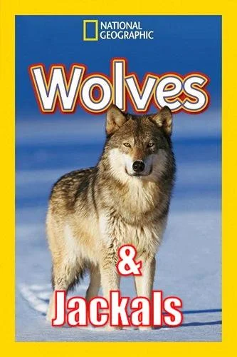 Дикие охотники. Волки и шакалы Фильм2019смотреть онлайн бесплатно